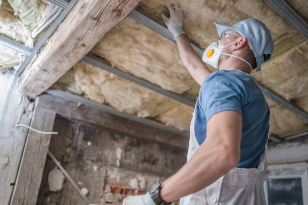 Best Commercial Insulation in Shavertown, PA